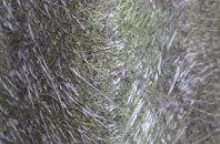 Peckforton fibreglass roof work